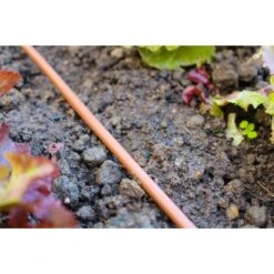 Vitavia Gewächshaus Meridian 2 - 9900 ESG 3 Mm - Smaragd Vorzugsset 22 Vitavia Gewächshaus Meridian 2 - 9900 ESG 3 Mm - Smaragd Vorzugsset -Vitavia Verkaufsgeschäft 114878 2298 08 13