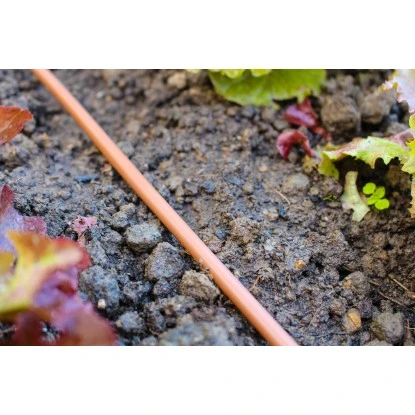 Vitavia Gewächshaus Jupiter 6700 HKP 4 Mm - Alu Vorzugsset 9 Vitavia Gewächshaus Jupiter 6700 HKP 4 Mm - Alu Vorzugsset – Bild 9