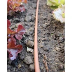 Vitavia Gewächshaus Triton 2500 HKP 4 Mm - Schwarz Vorzugsset -Vitavia Verkaufsgeschäft 115315 2298 14 10