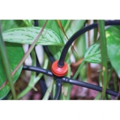 Rion Bewässerungs-Kit Für Gewächshaus Grand Gardener/Prestige 10 M -Vitavia Verkaufsgeschäft 1741 ri99970 bewaesserun 3