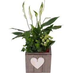 Arrangement In HolztopfTopf-Ø Ca. 15 Cm