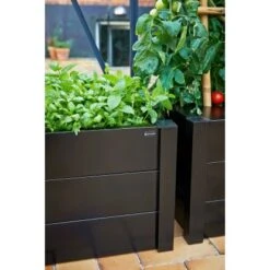 Juliana Pflanzkasten -Vitavia Verkaufsgeschäft 297348 3156 3