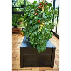 Juliana Pflanzkasten -Vitavia Verkaufsgeschäft 297348 3156 6