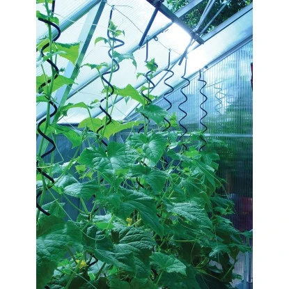 Juliana Pflanzspirale 3 Stück 2 Juliana Pflanzspirale 3 Stück – Bild 2