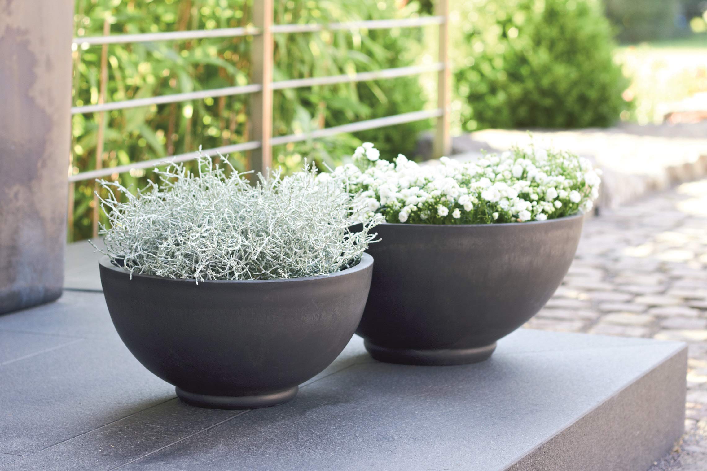 Vitavia Verkaufsgeschäft -Vitavia Verkaufsgeschäft 81v0jLLgRPL